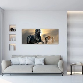 Obraz - Kone (120x50 cm)