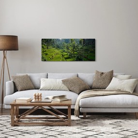 Obraz ryžových terás Tegalalang, Bali (120x50 cm)