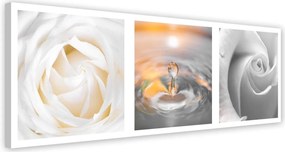 Obraz na plátně Bílé růže Květiny Panorama - 120x40 cm
