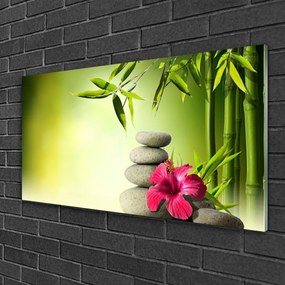 Skleneny obraz Bambus kvet kamene zen 125x50 cm