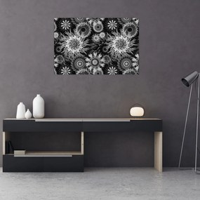 Obraz - Čiernobiele bodliaky (90x60 cm)