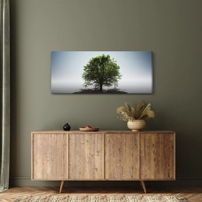 Obraz - Osamotený strom (120x50 cm)