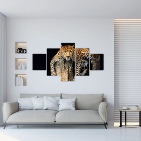 Leopard, obraz