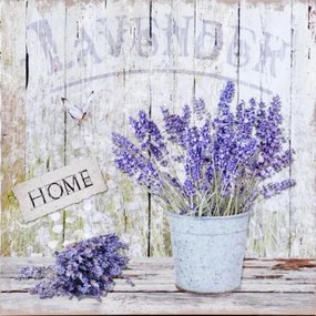 Obraz tlačený na plátne 40x40 PRC969