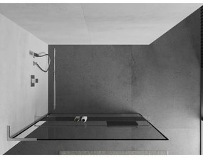 Mexen Kioto+ L, sprchová zástena Walk-In s poličkou a vešiakom 50 x 200 cm, 8mm číre sklo čierny vzor, chrómový profil, 800-050-123-01-70