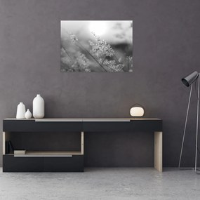 Obraz - Jesenná lúka (70x50 cm)