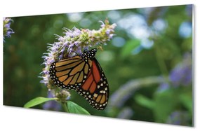 Sklenený obraz Kvet farebný motýľ 125x50 cm