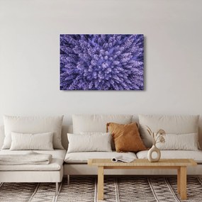 Obraz zasnežených stromov (90x60 cm)