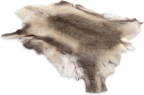 Koberec RENIFER POK012 sivý / béžový