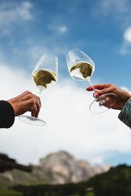 Riedel Veloce Riesling poháre na víno 570 ml 2 ks