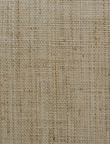 Skrinka 2-dverová Bali, dub sonoma/výplet