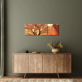 Obraz lúčov Boha (s hodinami) (90x30 cm)