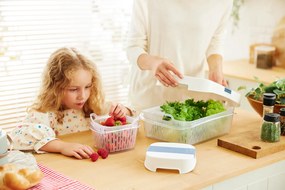 2. akosť - Špeciálny box na ovocie a zeleninu, s ventiláciou a filtrom, do chladničky, Fridge Fresh, 6,4l - modrý