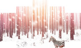 Obraz - Zebra v zasneženom lese (150x105 cm)
