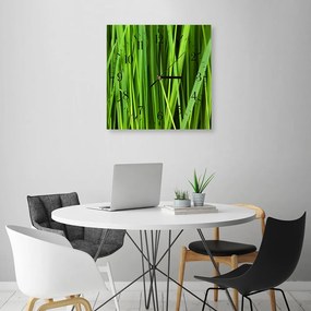 Gario Hodiny na stenu Tráva Rozmery: 60 x 60 cm