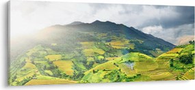 Obraz plantáže (120x50 cm)