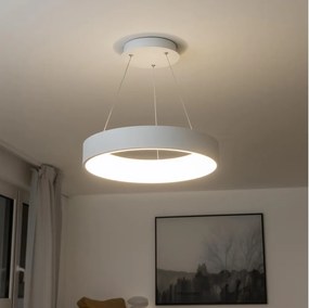 Brilagi - LED stmievateľný závesný luster na lankách LED/40W/230V 3000-6500K biela + DO