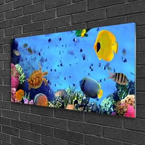 Obraz na skle Koralový útes ryba príroda 100x50 cm