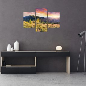 Obraz - Lesná krajina (90x60 cm)