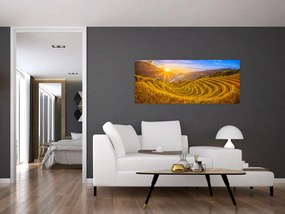 Obraz - Ryžové terasy vo Vietname (120x50 cm)