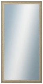 DANTIK - Zrkadlo v rámu, rozmer s rámom 50x100 cm z lišty LYON strieborná (2704)
