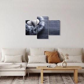 Obraz - Hniezdo lásky (90x60 cm)