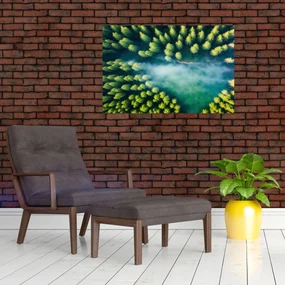 Obraz - Hmlou zahalený les (90x60 cm)