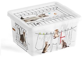 KIS C Box Style Pets Collection XXS 2l
