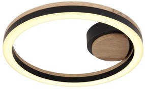 Globo 67298D - LED Stropné svietidlo BEATRIX LED/12W/230V