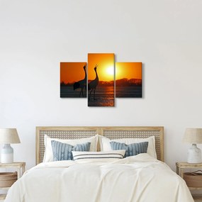 Obraz vtákov pri západe slnka (90x60 cm)