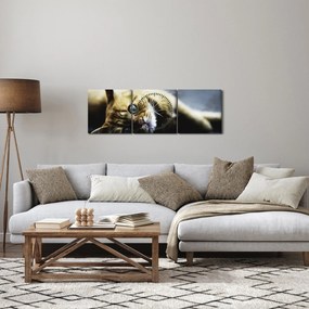 Obraz mačiatka (s hodinami) (90x30 cm)