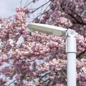 LED Pouličná lampa SOLIS LED/30W/230V 3000K IP65