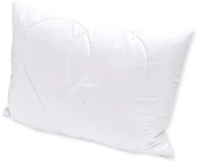 Brotex Vankúš Aloe Vera 50x70cm so zipsom