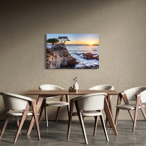 Obraz - Pacifické pobrežie (90x60 cm)