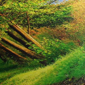 Obraz chodníky pozdĺž vody (150x105 cm)