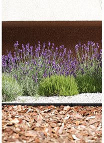 PROSPERPLAST Obrubník neviditeľný BORDER 0645 čierny 480cm