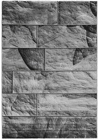Koberce Breno Kusový koberec PARMA 9250 Black, sivá, čierna, viacfarebná,140 x 200 cm