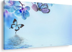 Obraz - Motýľ na kvetoch orchidey, modrý (90x60 cm)