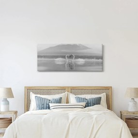 Obraz - Zamilované labute (120x50 cm)