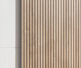 Šatníková skriňa Berno, 170 cm, biela/dub