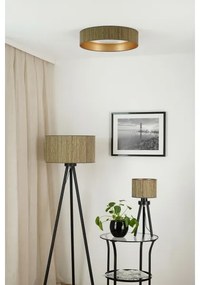 Brilagi - LED stmievateľné svietidlo VEGAS SHINE LED/24W/230V hnedá/zlatá + diaľkové ovládanie