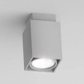 RENDL R10164 EX prisadené svietidlo, downlight striebornosivá
