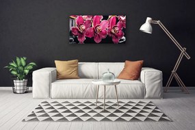 Obraz Canvas Kvety orchidey výhonky príroda 100x50 cm
