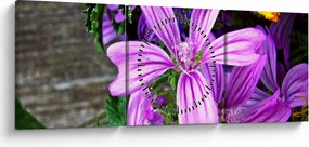 Obraz - lúčne kvety (s hodinami) (90x30 cm)