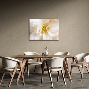 Obraz - Kvet (70x50 cm)