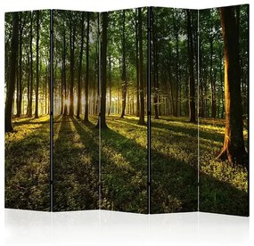 Paraván - Morning in the Forest II [Room Dividers] Veľkosť: 225x172, Verzia: Akustický