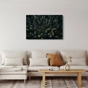 Obraz - Les (90x60 cm)