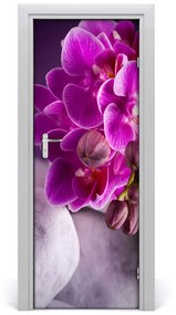 Fototapeta samolepiace ružová orchidea 75x205 cm