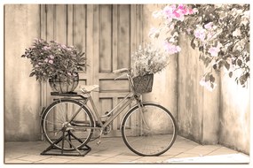 Obraz na plátne - Pristavený bicykel s kvetmi 174FA (75x50 cm)