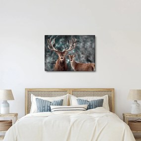 Obraz - Jeleň a laň v zasneženom lese (70x50 cm)